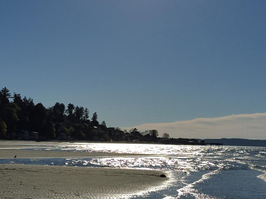 Dash Point State Park景点图片