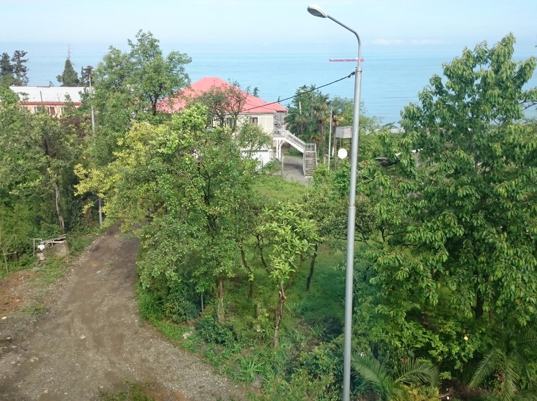 Sakhalvasho酒店住宿-David Guest House