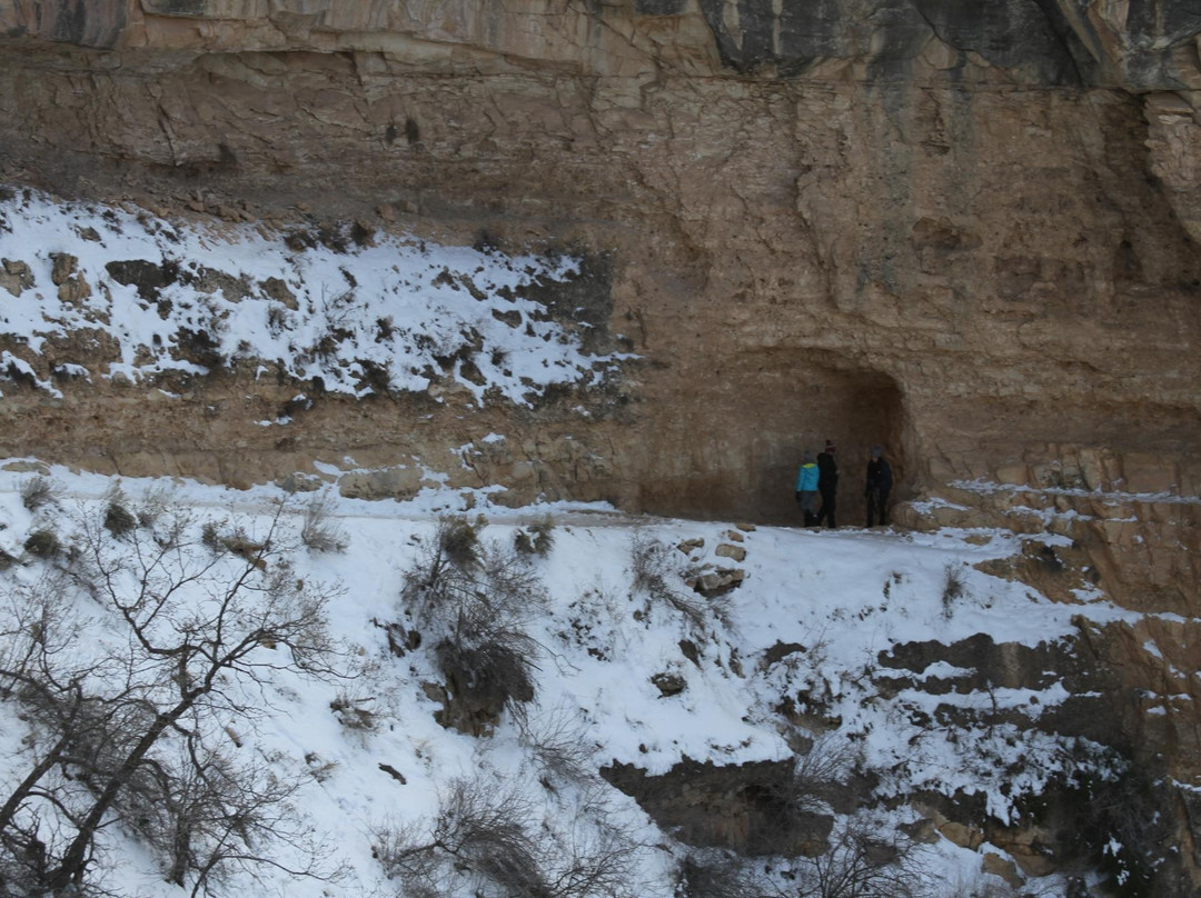 Grand Canyon Railway Depot-大峡谷国家公园必去景点