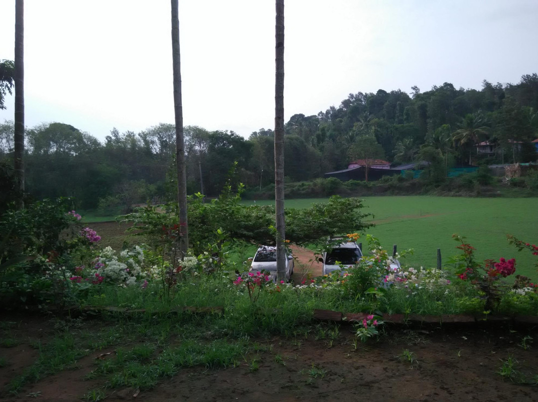 Mina's Nest HomeStay主图