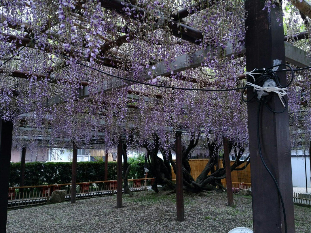 Empuku-ji Temple-龟山市必去景点