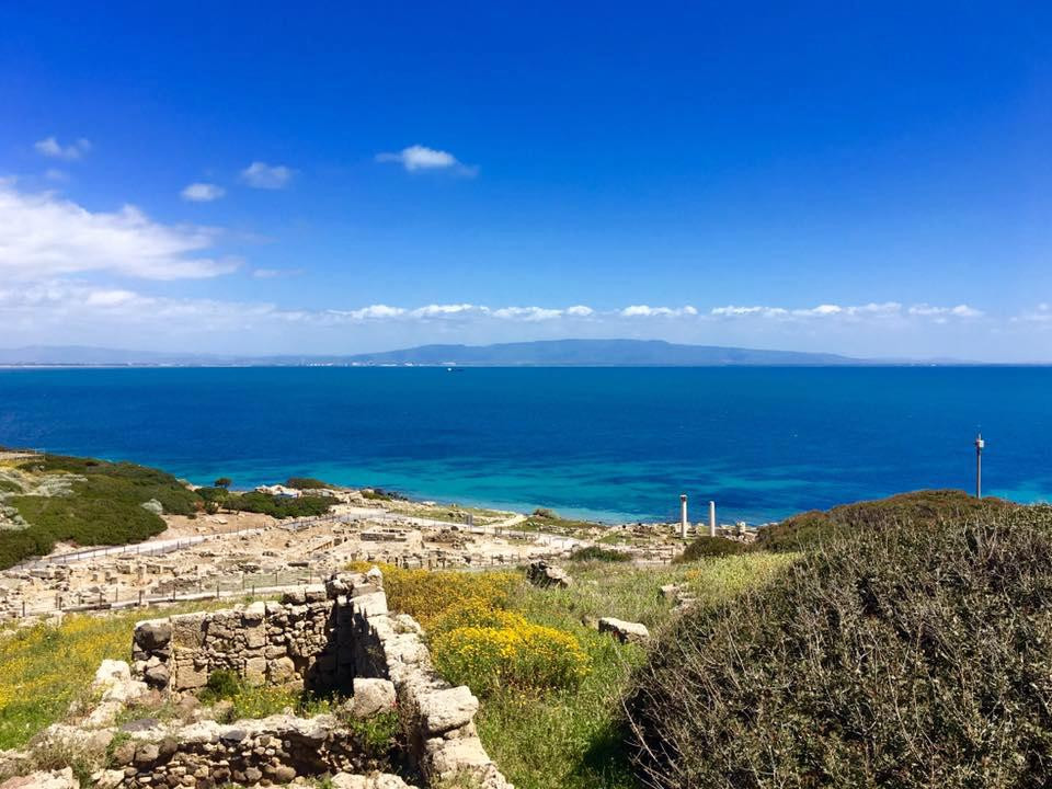 Penisola del Sinis - Isola di Mal di Ventre