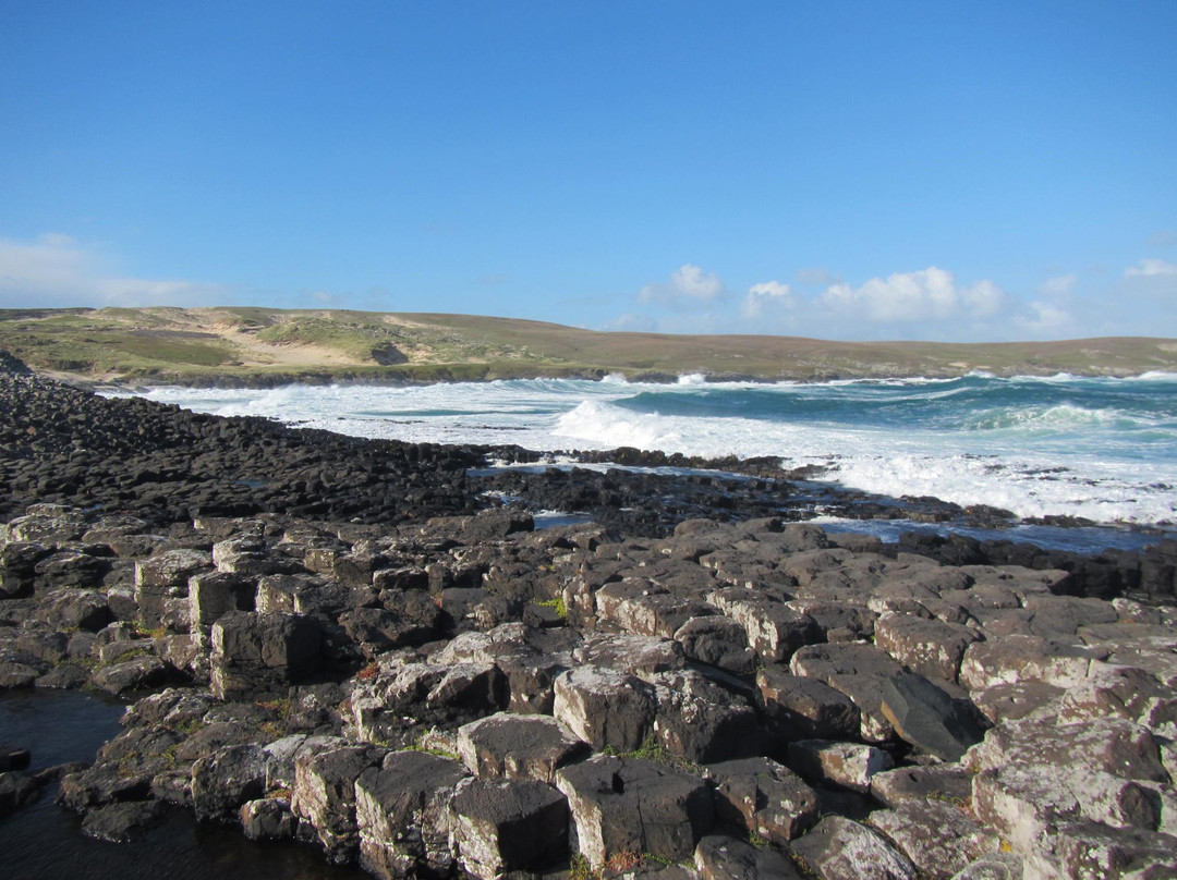 Basalt Columns-Chatham Island (Rekohu)必去景点