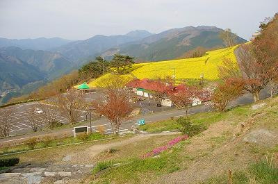 Suiha Highlands-四国中央市必去景点