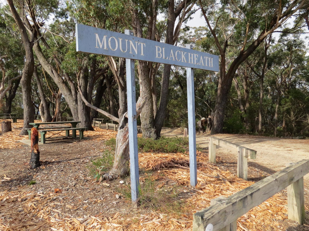 Mount Blackheath Lookout景点图片