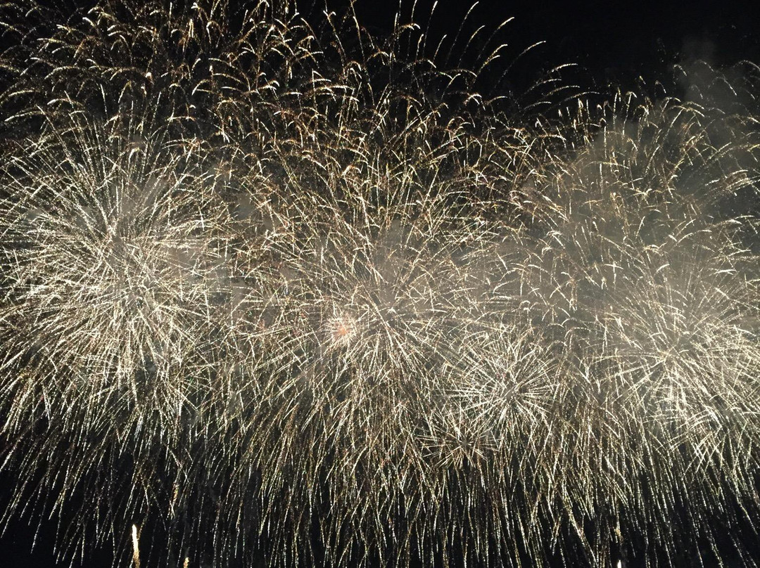 Chofu Autumn Fireworks-调布市必去景点