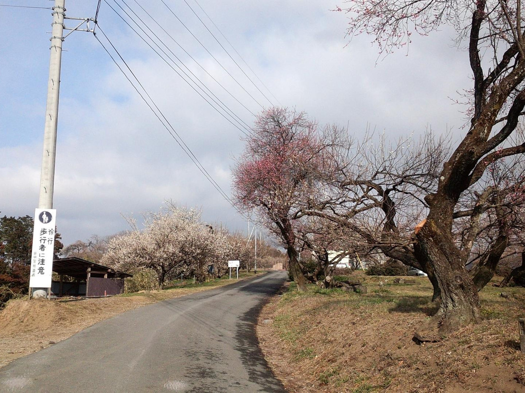 Akima Bairin-安中市必去景点