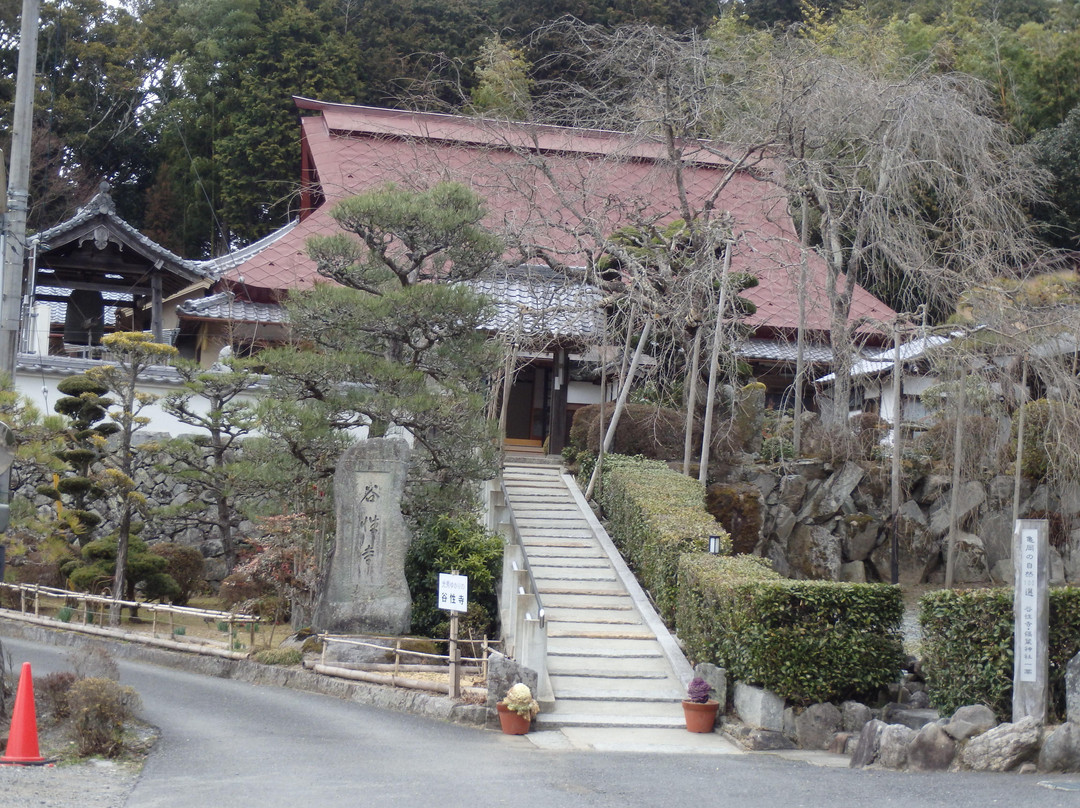 Kokushoji Temple-龟冈市必去景点