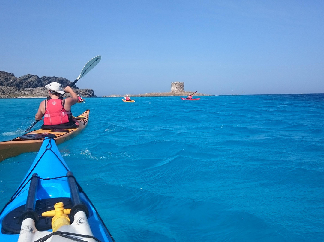 Sea Kayak Sardinia-阿尔盖罗必去景点