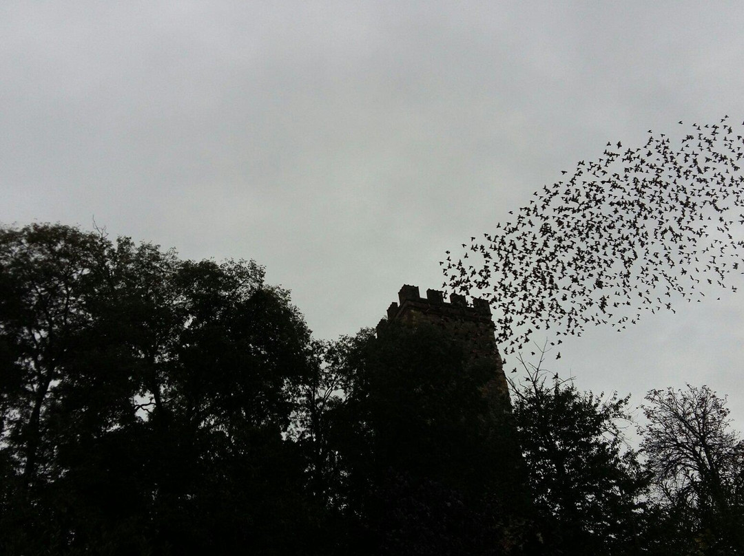 Borgo Antico-Castellarano必去景点