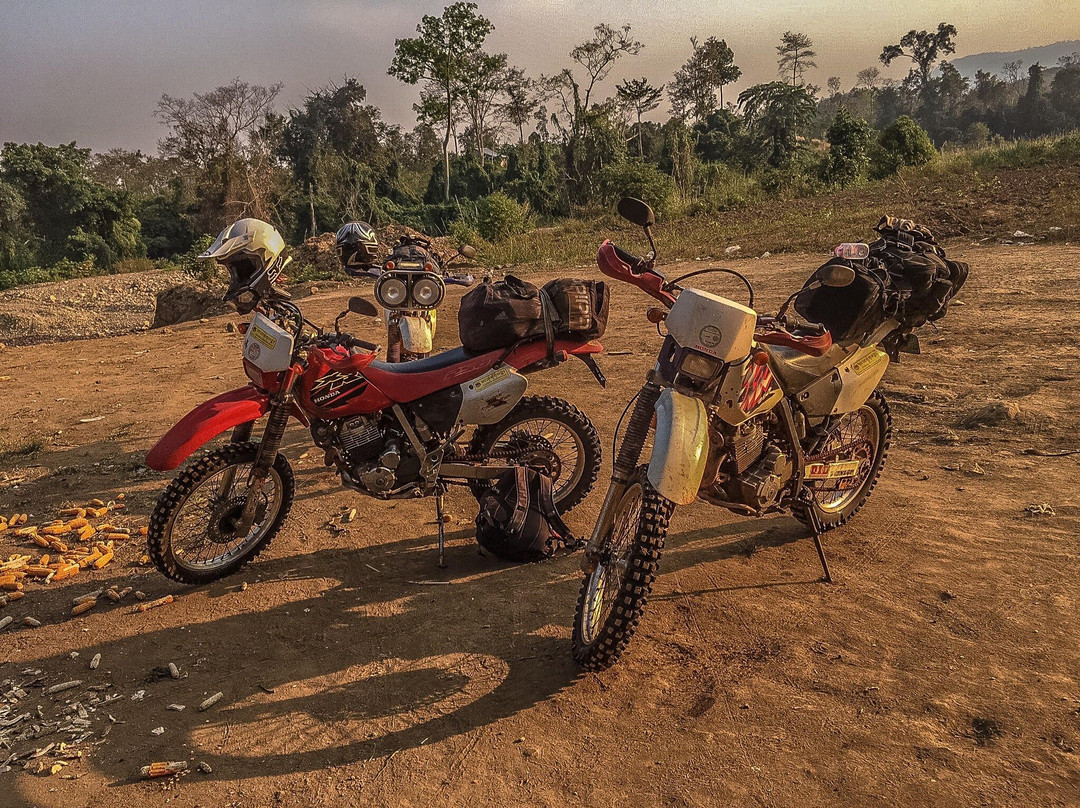 Angkor Motor Cycles - Bike Rentals景点图片