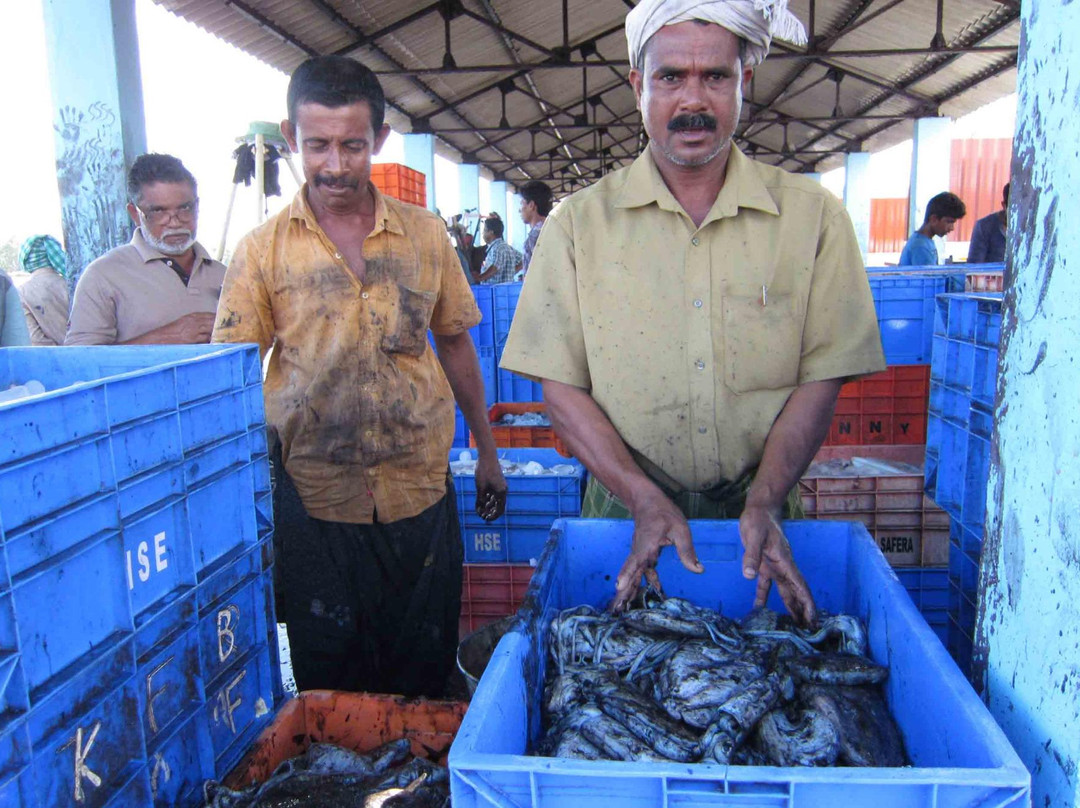 Neendakara Port-科兰必去景点