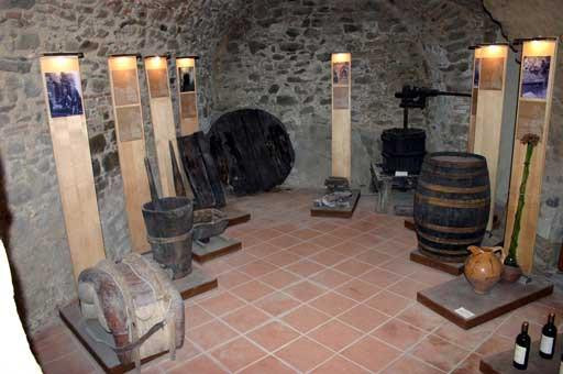 Museo Archeologico e della Vite e del Vino景点图片