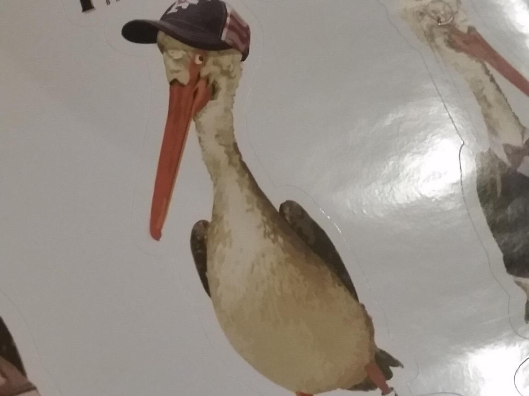 Fairhope Brewing Company-费尔霍普必去景点