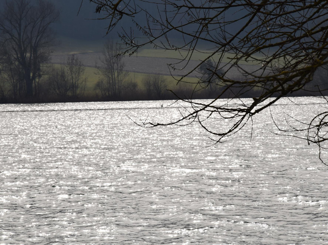 Lake Wohlen-Wohlen必去景点