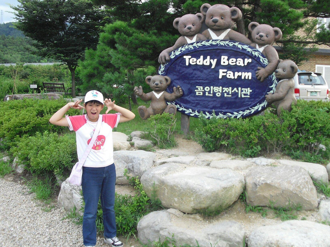 Teddy Bear Farm-束草市必去景点