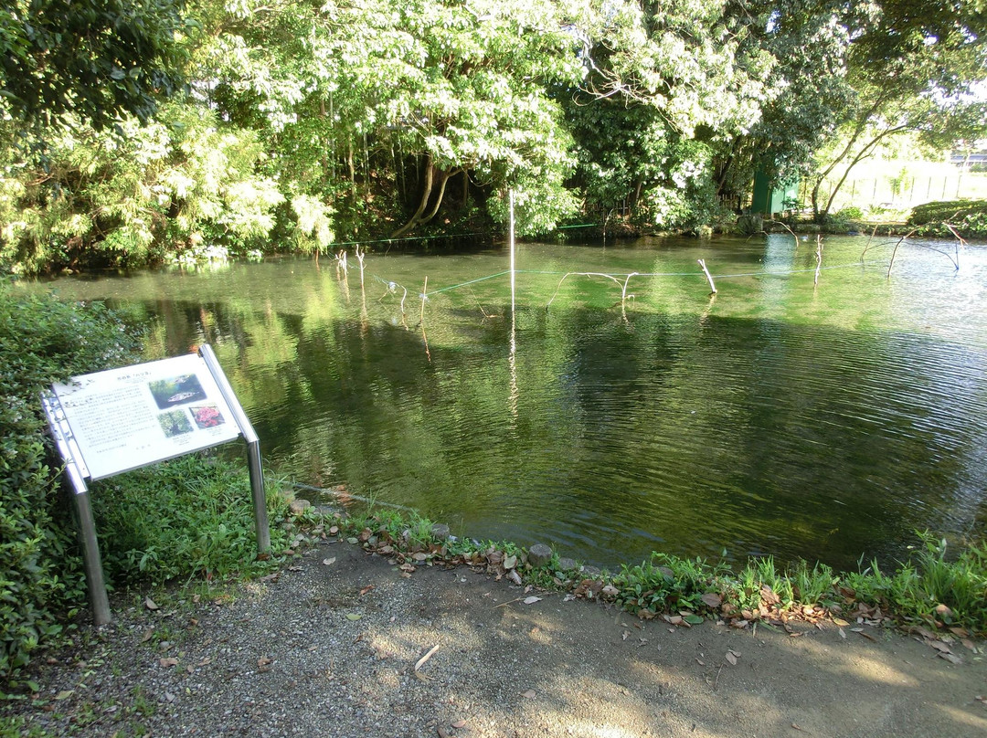 Soneshiro Park-大垣市必去景点
