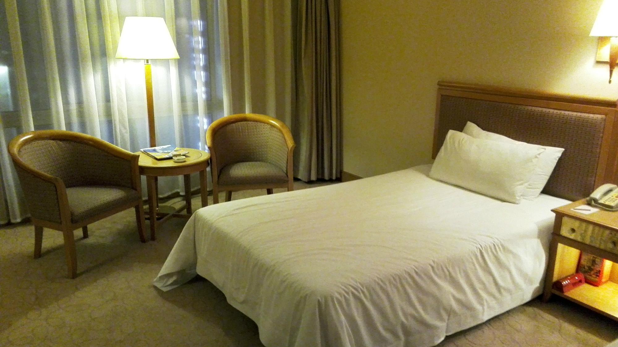 上海美臣大酒店-客卧