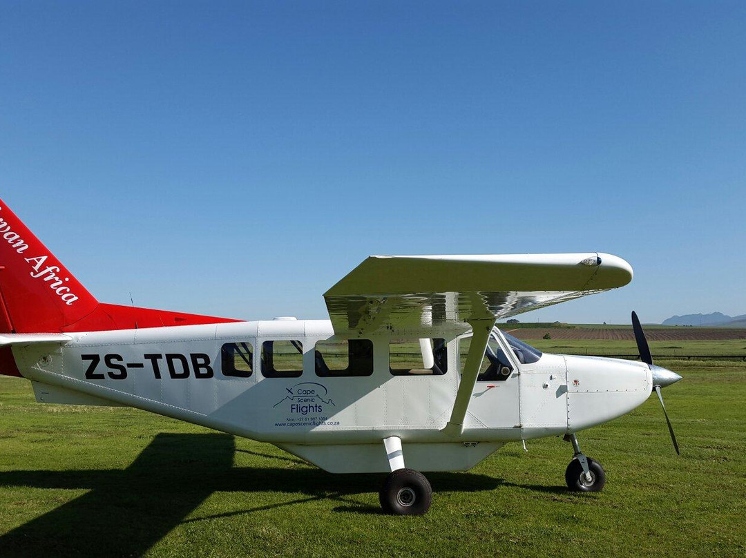 Cape Scenic Flights-开普敦必去景点