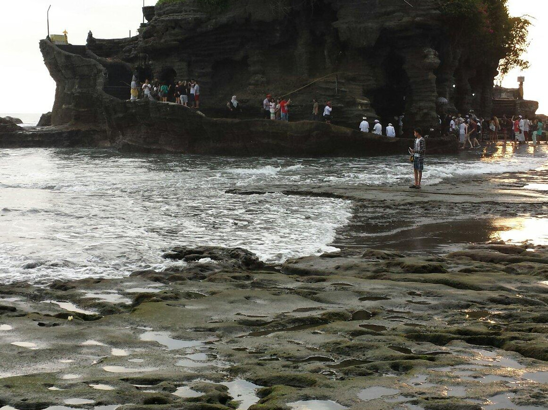 Holy Bali Tour - Day Tours-库塔必去景点