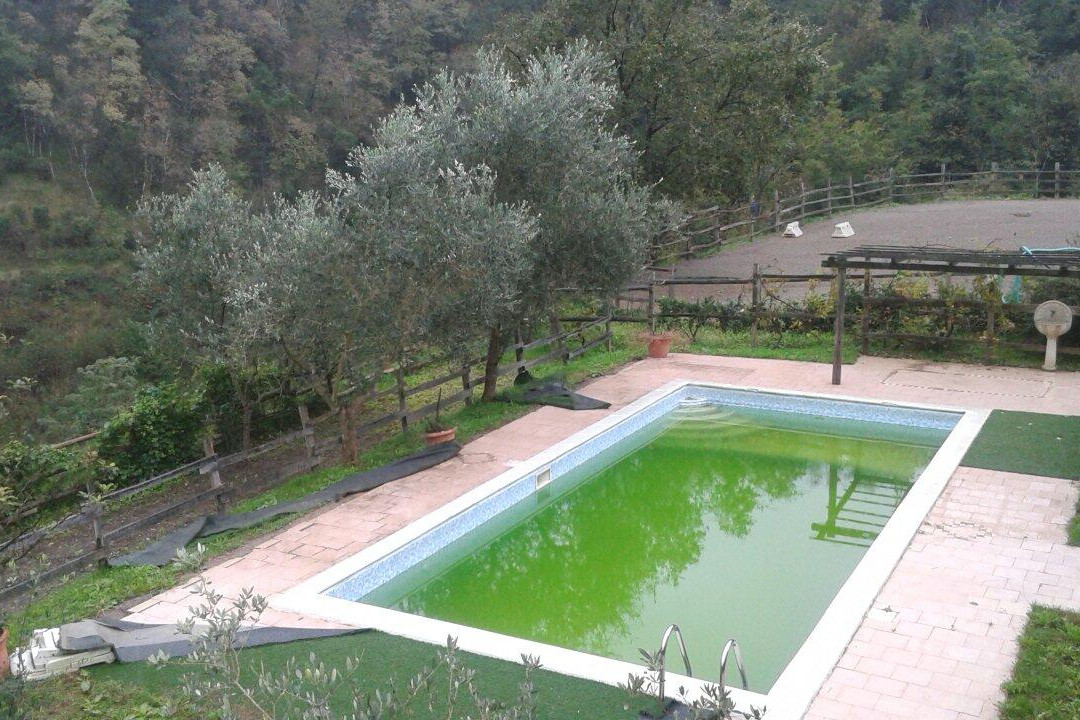 Agriturismo Valle Chiappella景点图片