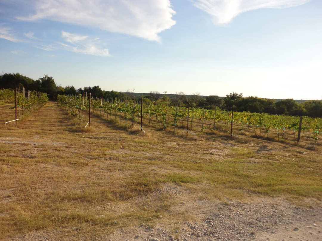 Bluff Dale Vineyards-Bluff Dale必去景点