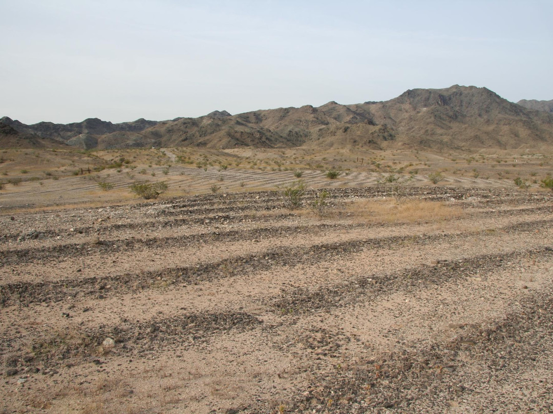 Mystic Maze-尼德尔斯必去景点