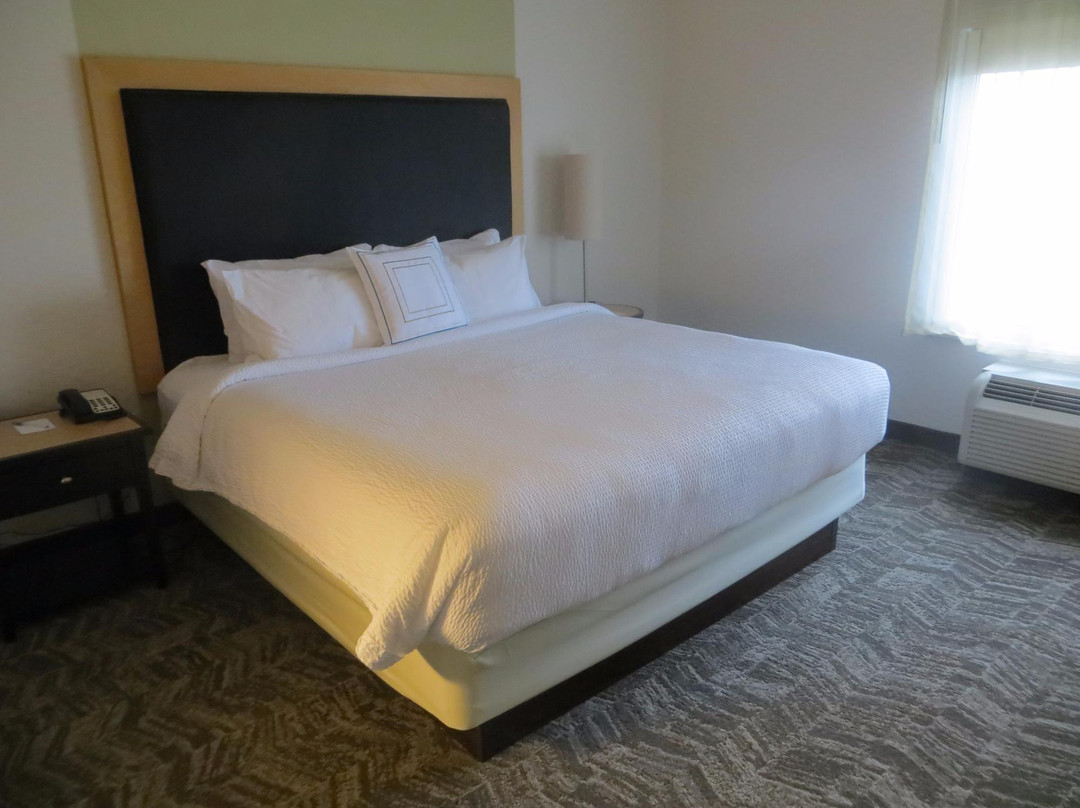 格林贝SpringHill Suites 酒店