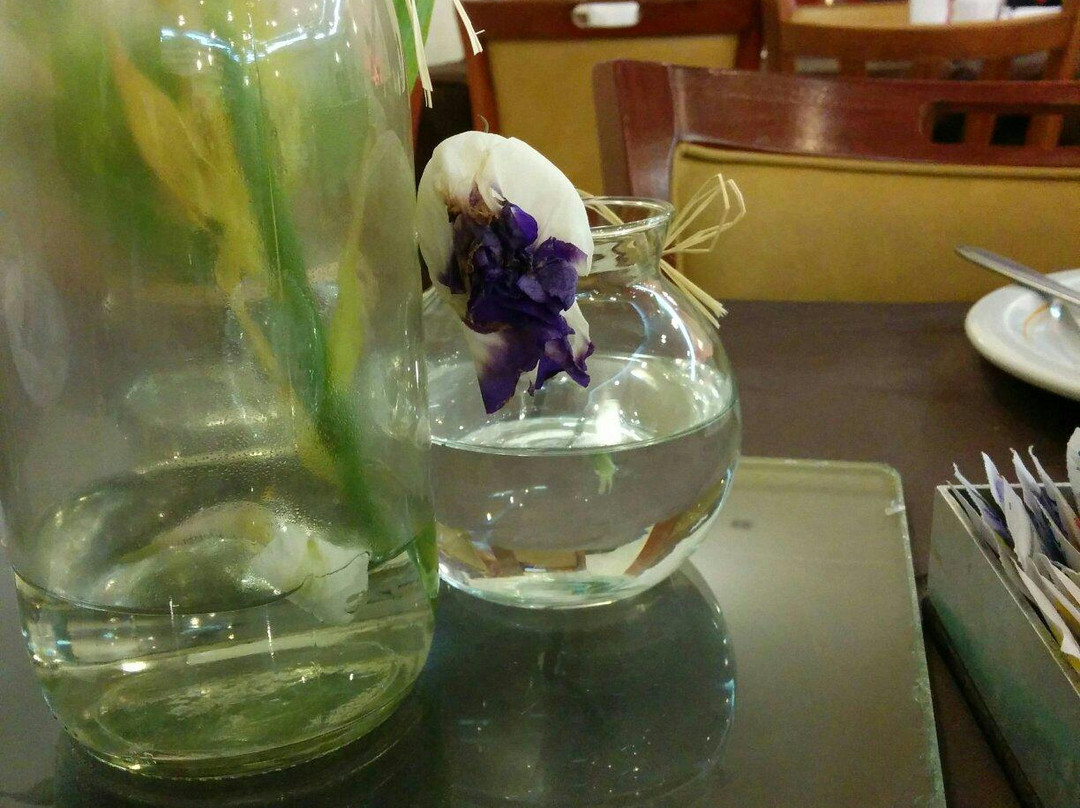 Churrascaria Apaloosa S