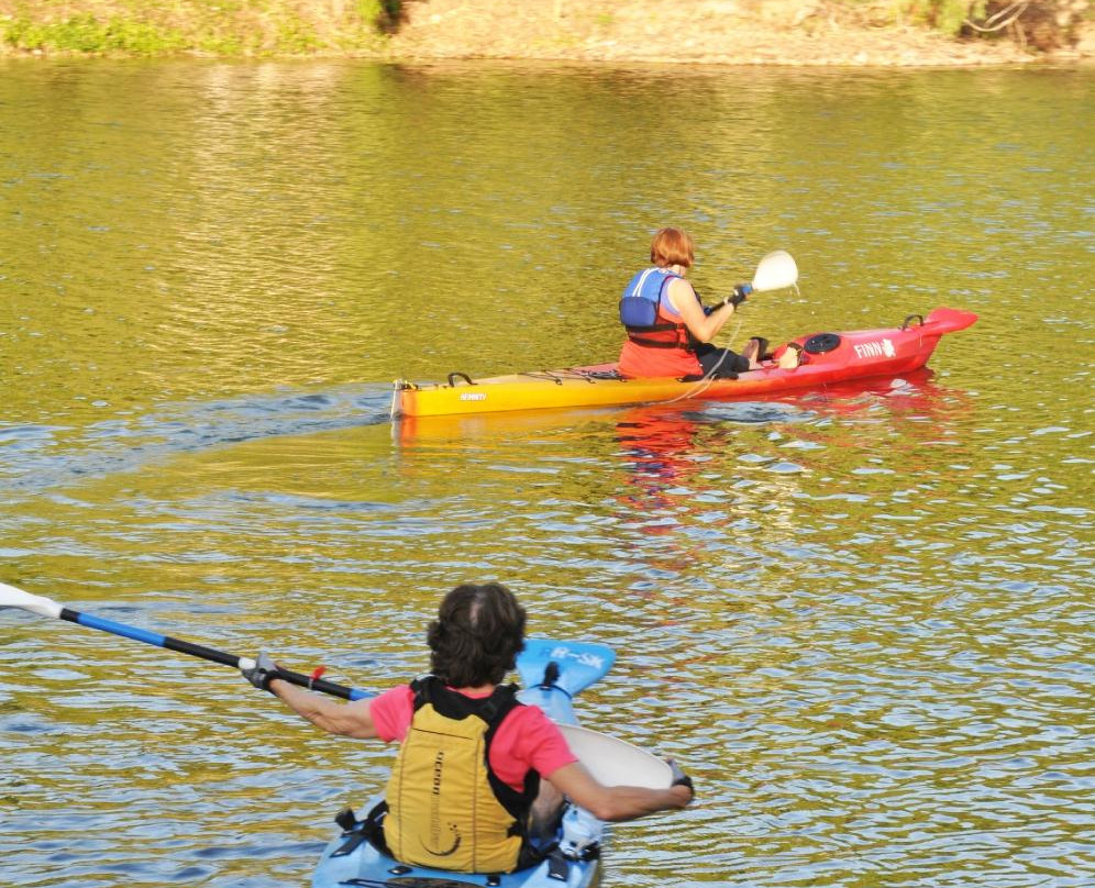 River-Sea Kayaking-汤斯维尔必去景点