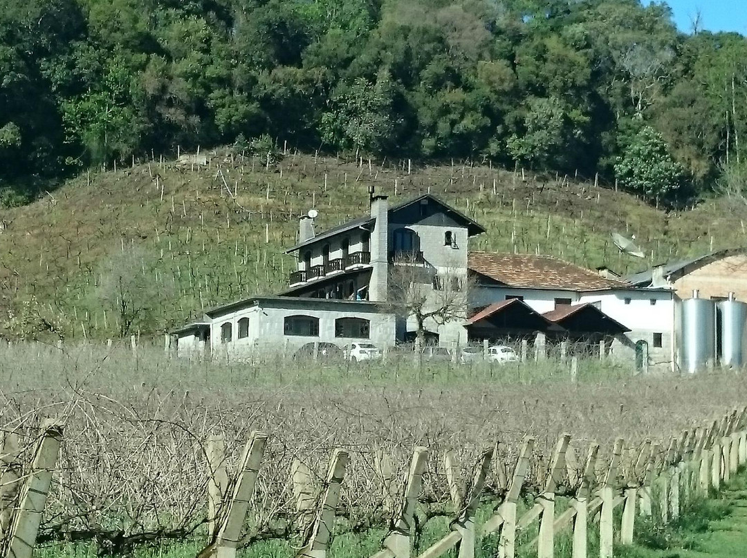 Cantina Tonet Winery景点图片