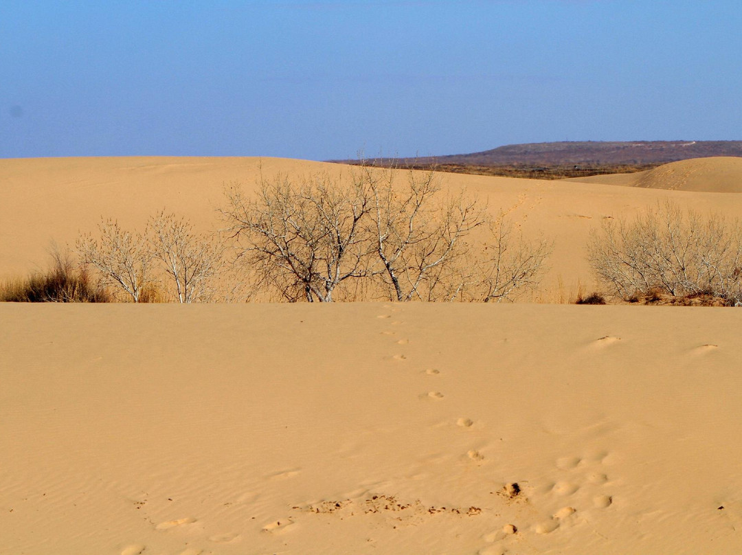 Mescalero Sands North Dune Off-Highway Vehicle Area-罗斯威尔必去景点