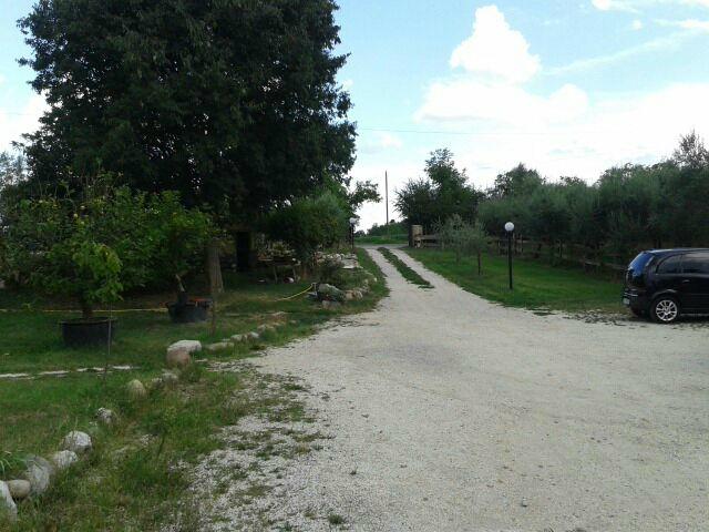 Agriturismo La Casa del Mandorlo-客卧