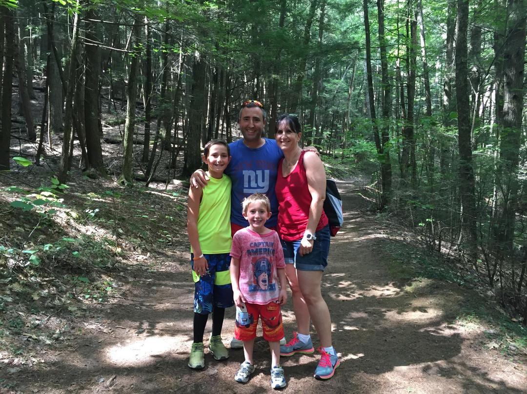 Shelving Rock Falls-乔治湖必去景点