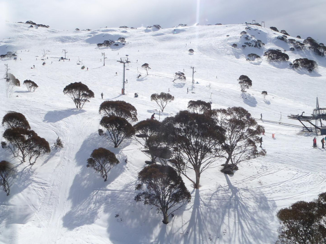 Alitji Alpine Lodge主图