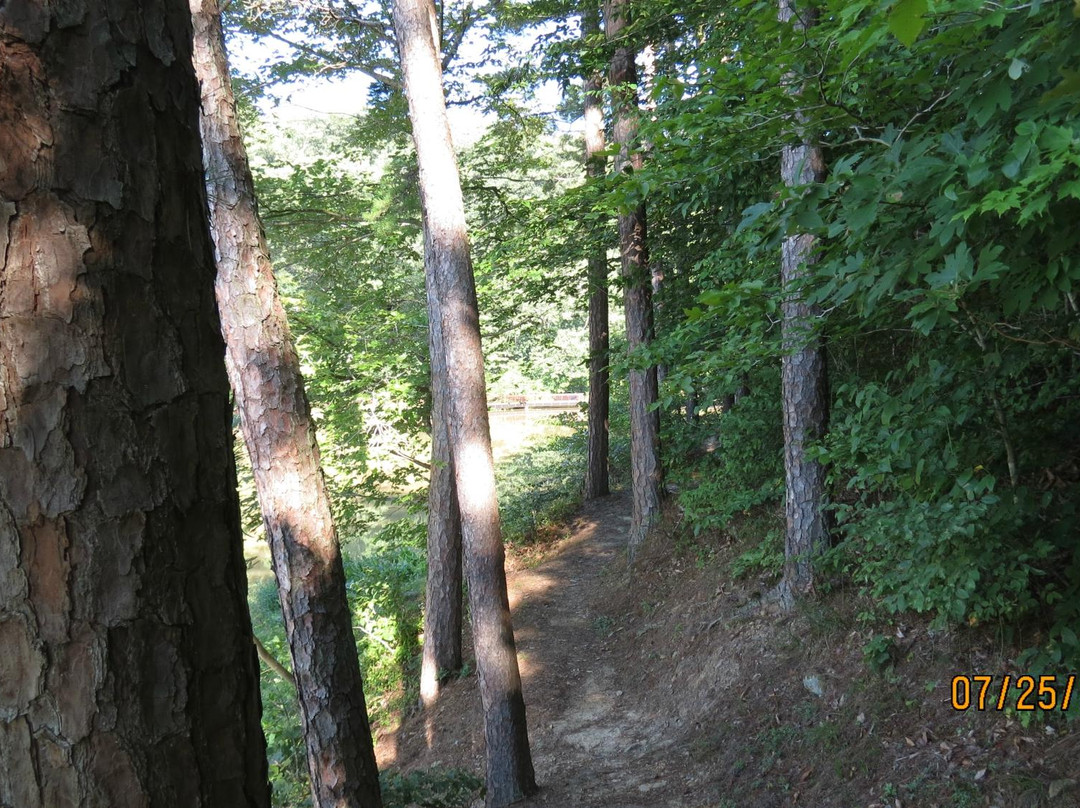 Lake Vesuvius Recreation Area-Ironton必去景点