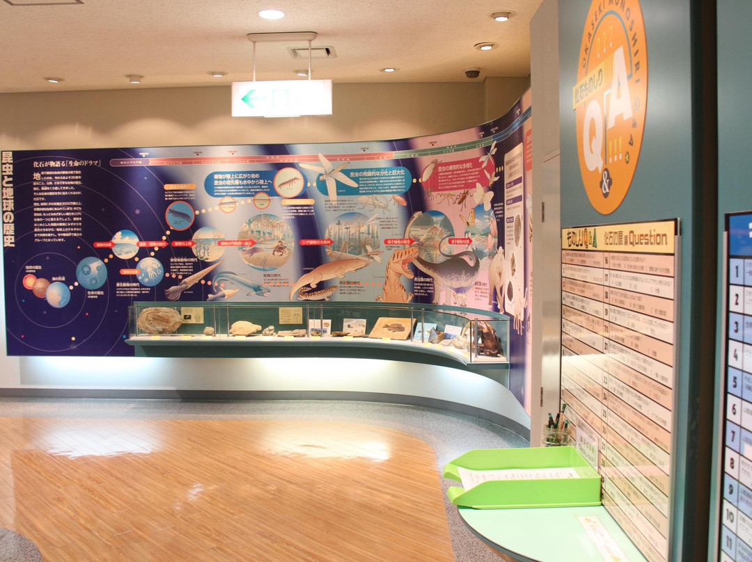 Omoshiro Museum of Insects and Fossils-新温泉町必去景点