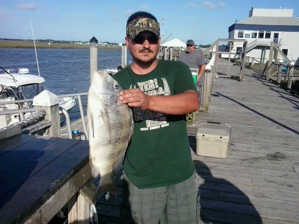 Ugly Ducklin Charters-埃迪斯托艾兰必去景点