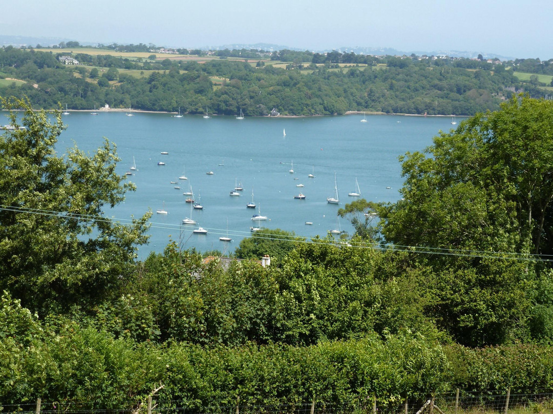 Dart River-得文郡必去景点