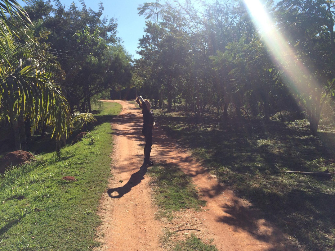 Macuco-Valinhos必去景点