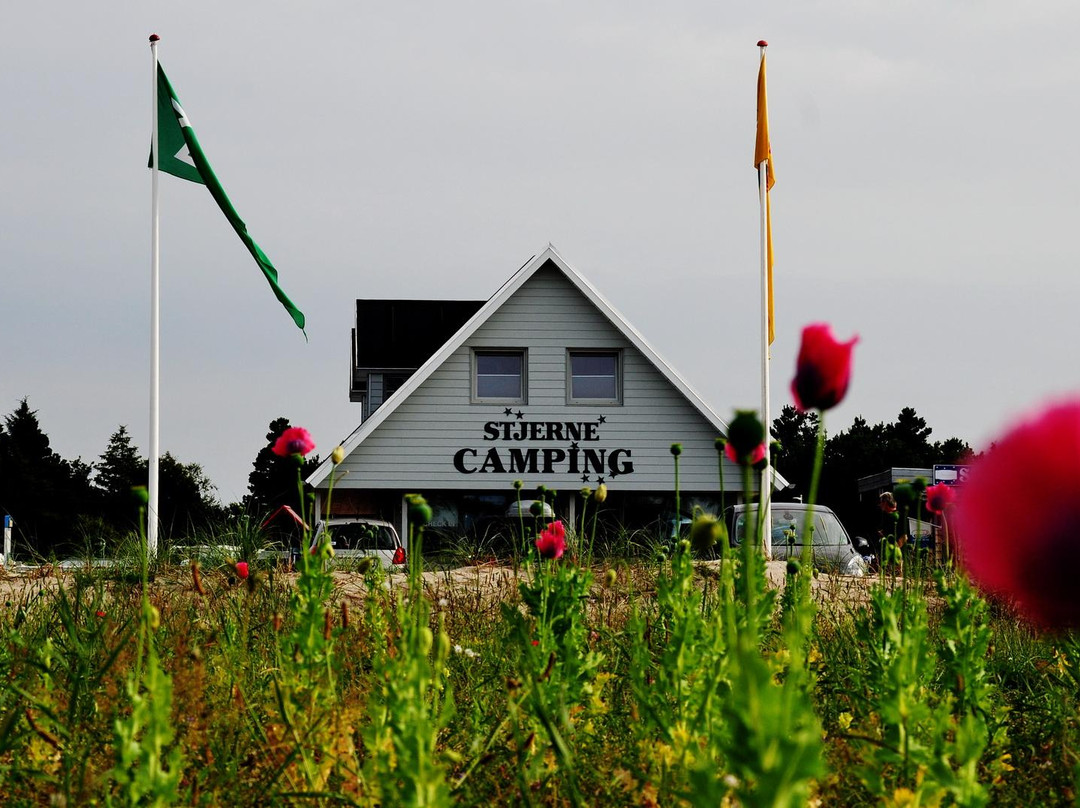 Stjerne Camping