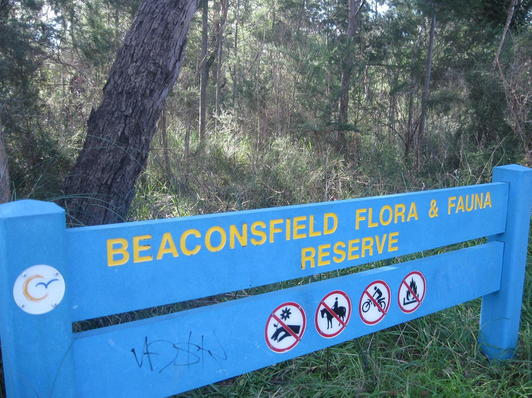 Beaconsfield Flora & Fauna Reserve-Beaconsfield必去景点