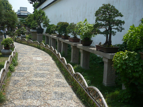 西园寺-苏州市必去景点