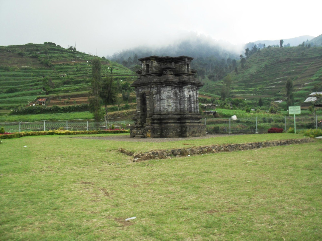 Dwarawati Temple景点图片
