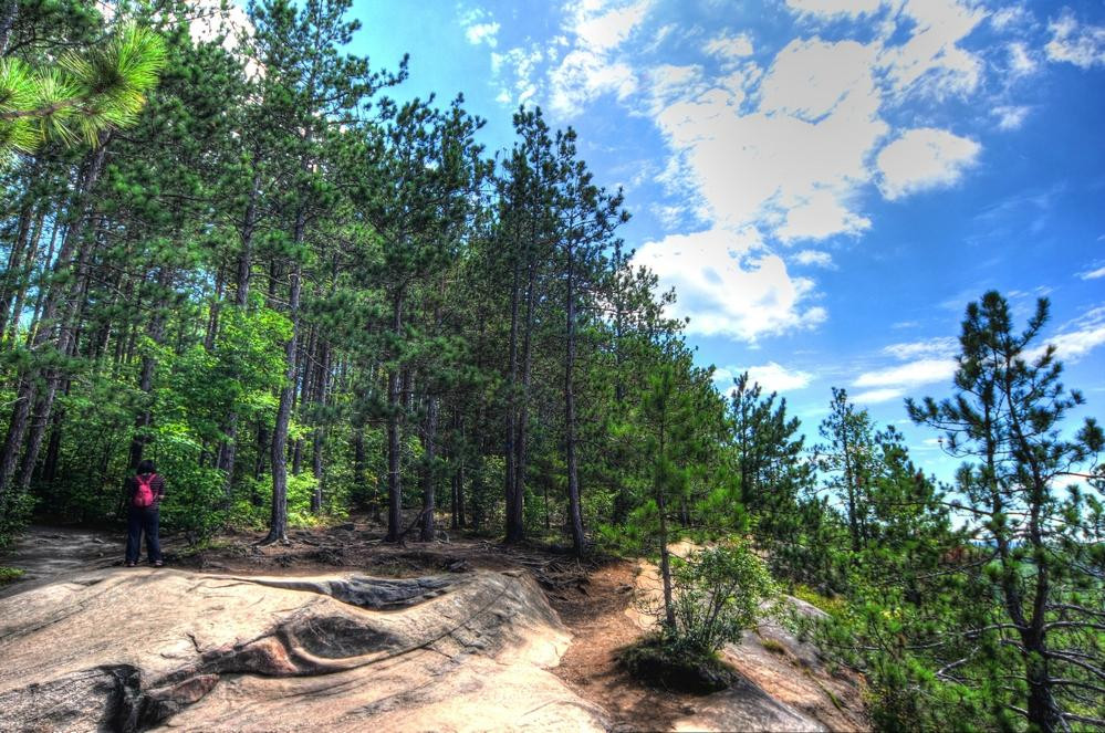 Lookout Trail景点图片