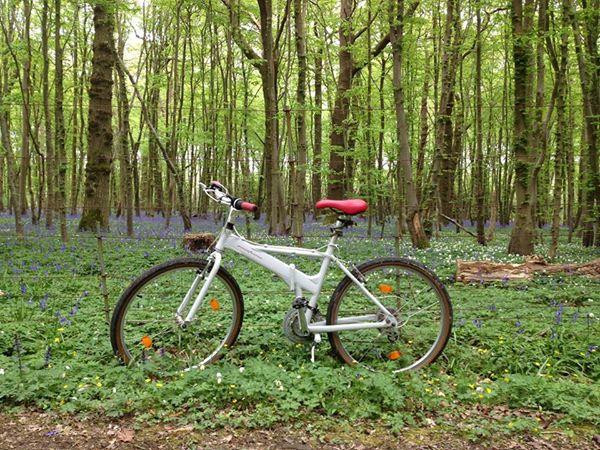 Bike Trips景点图片