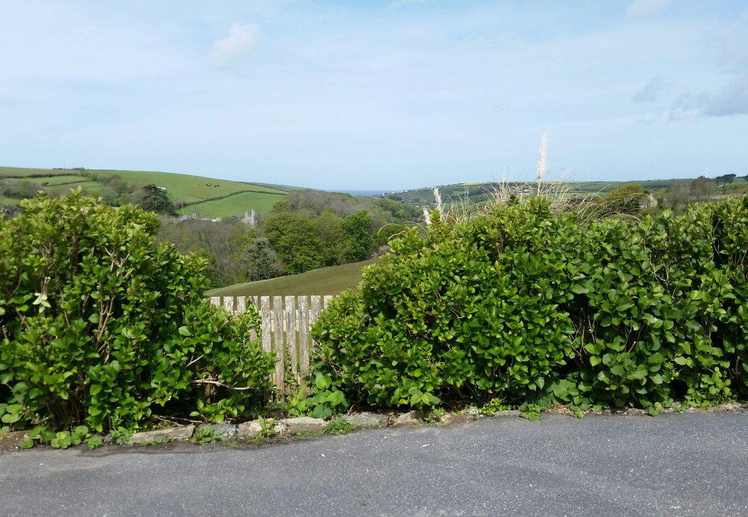 Dalswinton House主图