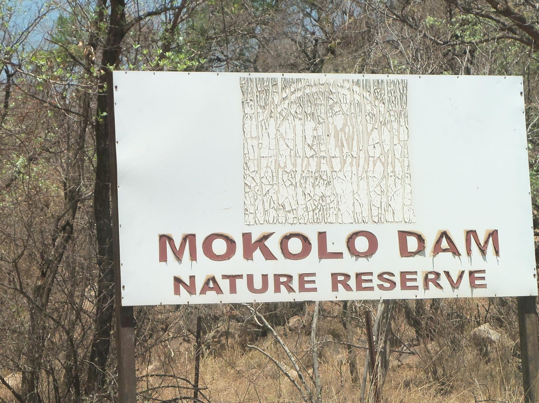 Mokolo Dam Nature Reserve-Lephalale必去景点