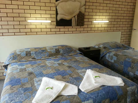 Emerald Tower Motor Inn主图