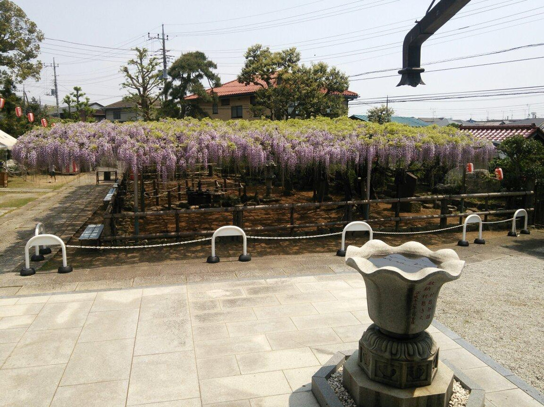 Koenji Temple-市川市必去景点